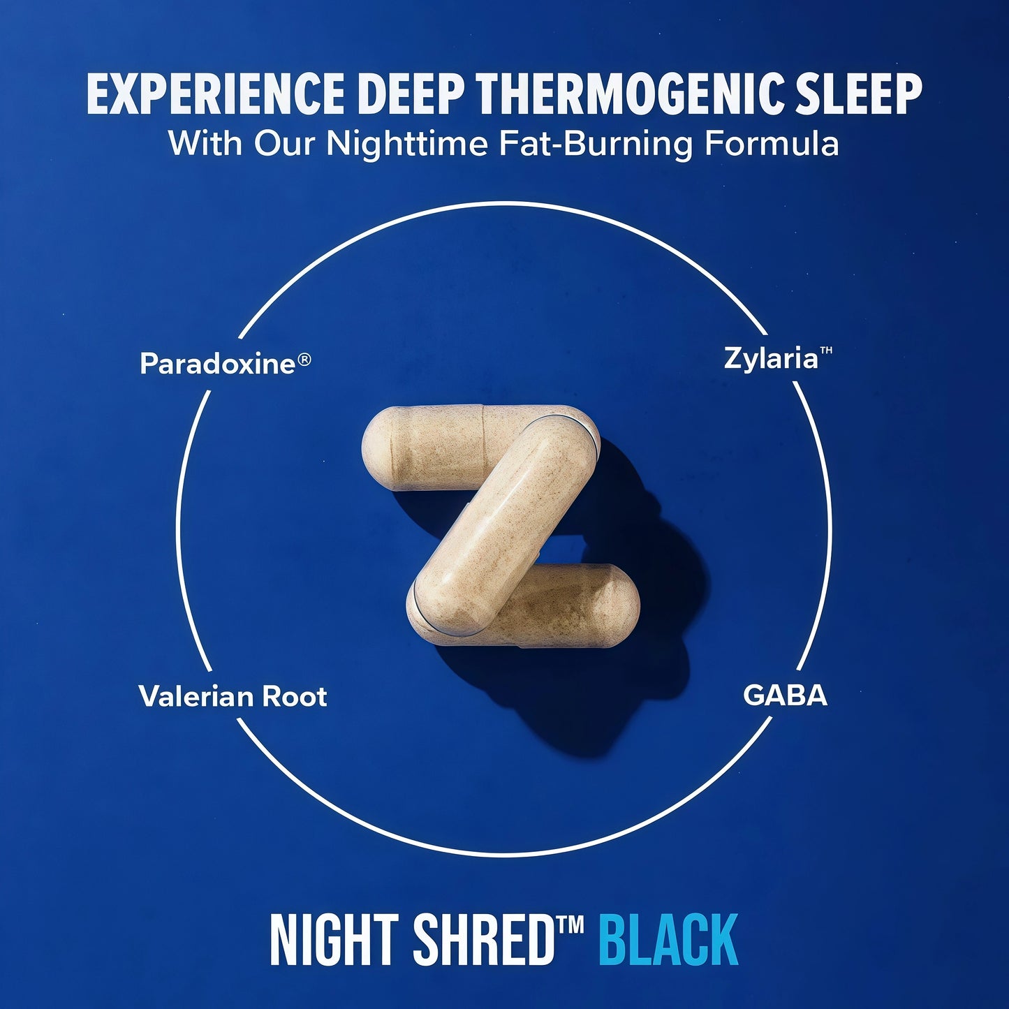 Night Shred Black Melatonin-Free - Night Time Fat Burner, Weight Loss, and Natural Sleep Support - GABA Complex with Ashwagandha, CLA, Grains of Paradise - Thermogenic Fat Burner - 90 Vegan Capsules